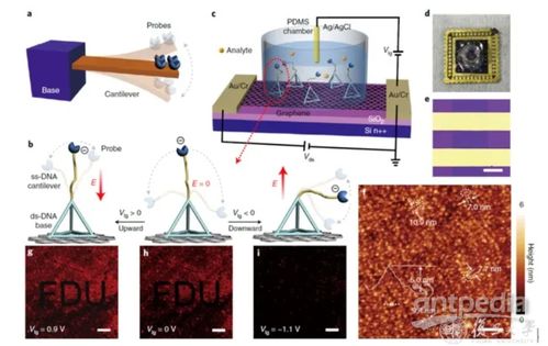 4分鐘內出核酸結果 復旦大學如何實現(xiàn)精準生物檢測